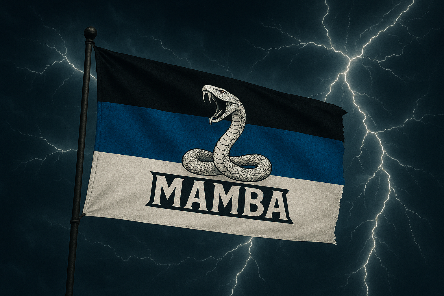 Mamba1600